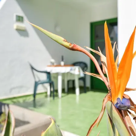 Apartment Mimosas. Bajo Con Wifi. Piscinas Comunitarias Tías