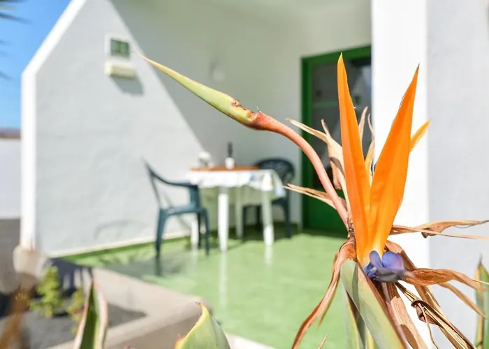 Lägenhet Mimosas. Bajo Con Wifi. Piscinas Comunitarias Tías